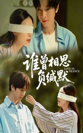 资源《谁曾相思负缄默》的海报