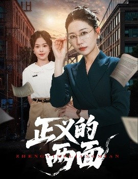 资源《正义的两面》的海报