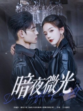 资源《暗夜微光》的海报