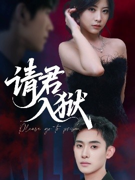 资源《请君入狱》的海报