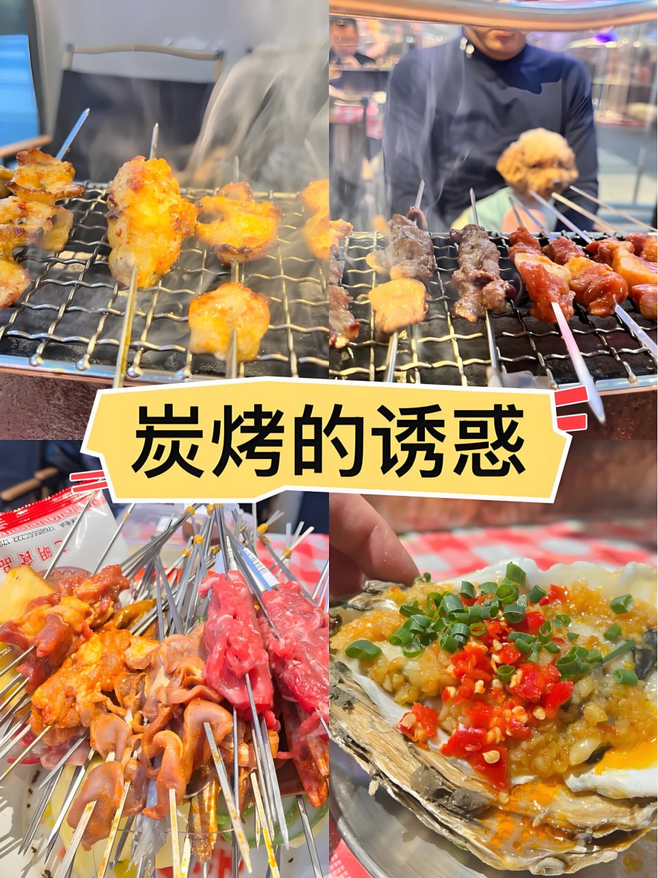 资源《【价值2万技术可创业】32套各类烧烤炭烤 小吃技术合集)》的海报
