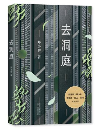 资源《去洞庭 [﻿小说文学] [pdf+全格式]》的海报