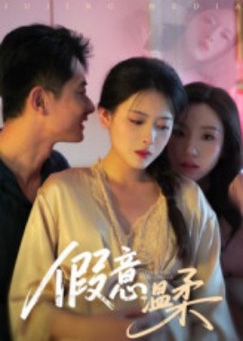资源《假意温柔》的海报