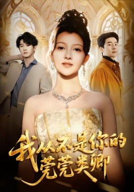 我从不是你的莞莞类卿