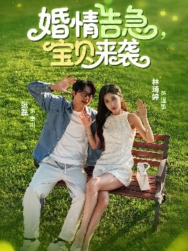 资源《婚情告急宝贝来袭》的海报