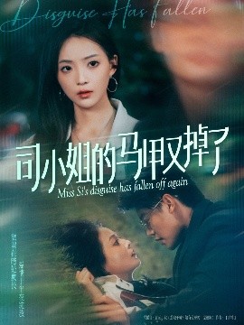 资源《司小姐的马甲又掉了》的海报