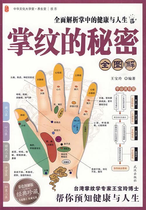资源《《掌纹的秘密全图解》预知健康与人生 掌握手中秘密[pdf]》的海报