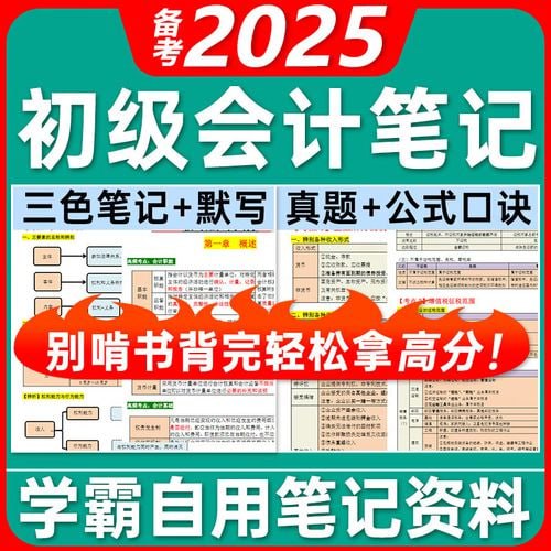 资源《2025初级会计资料》的海报
