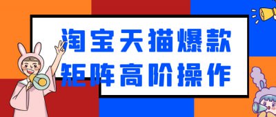 资源《淘宝天猫爆款矩阵高阶操作》的海报