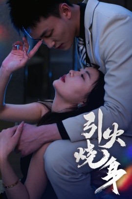 资源《引火烧身》的海报