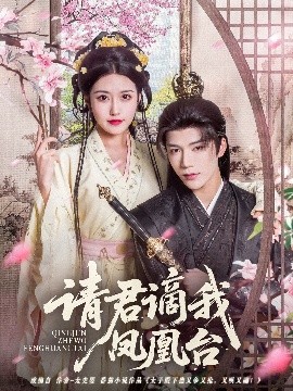 资源《请君谪我凤凰台》的海报
