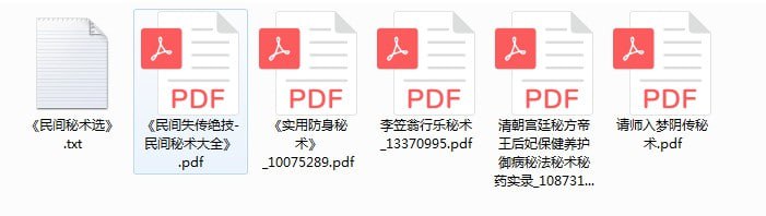 资源《《民间失传绝技 民间秘术大全》清宫秘方保健 防身秘术等[pdf]》的海报