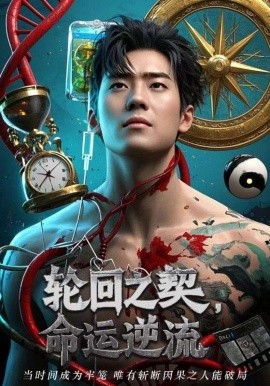 资源《轮回之契，命运逆流》的海报