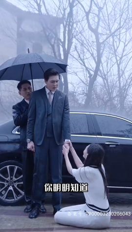 资源《黯然失色》的海报