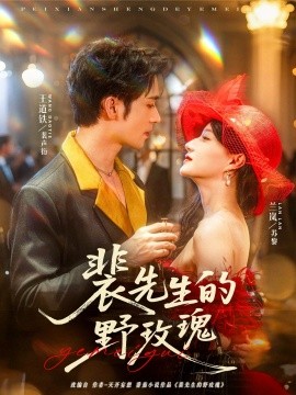 资源《裴先生的野玫瑰》的海报