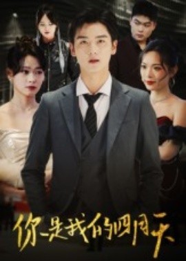 资源《你是我的四月天》的海报