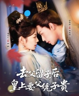 资源《去父留子后，皇上要父凭子贵》的海报