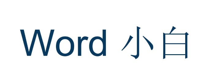资源《【Word高效办公：从小白到精通】》的海报
