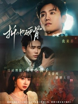 资源《折他硬骨》的海报