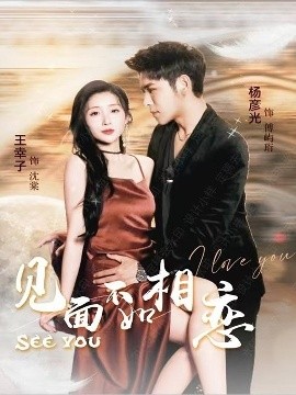 资源《见面不如相恋》的海报