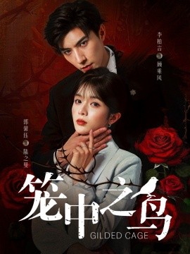 资源《笼中之鸟》的海报