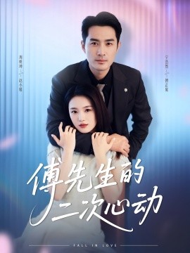 资源《傅先生的二次心动》的海报