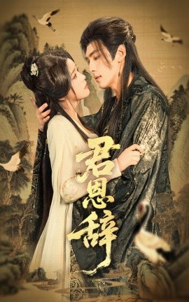 资源《君恩辞》的海报