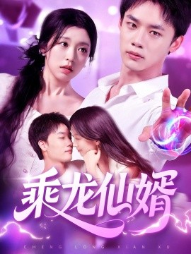 资源《乘龙仙婿》的海报