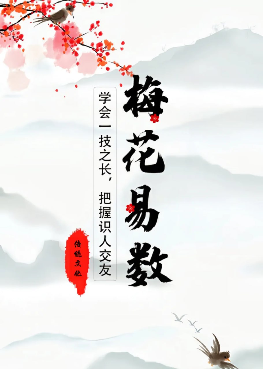 资源《《梅花易数》学会一技之长，把握识人交友》的海报