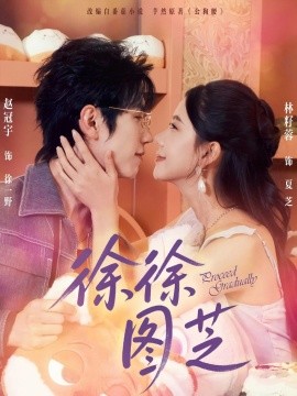 资源《徐徐图芝》的海报