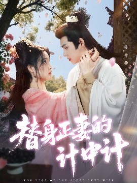 资源《替身正妻的计中计》的海报