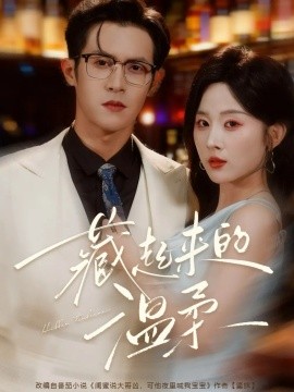 资源《藏起来的温柔》的海报