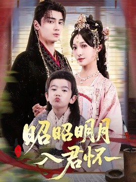 资源《昭昭明月入君怀》的海报