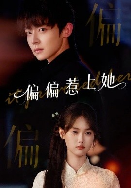 资源《偏偏惹上她》的海报