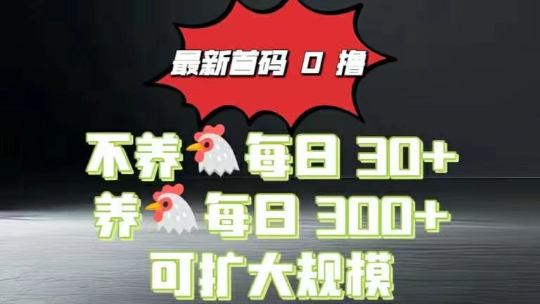 资源《首码，纯0撸看广告最新系统，不养机每天30+，养机每天3张》的海报