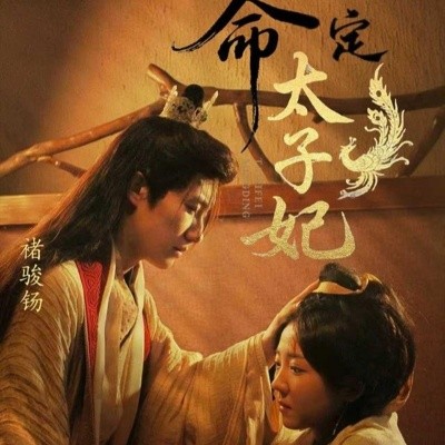 资源《命定太子妃》的海报