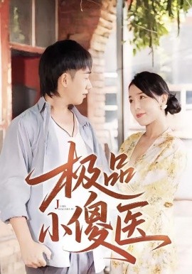 资源《极品小傻医》的海报