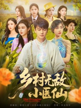 资源《乡村无敌小医仙》的海报