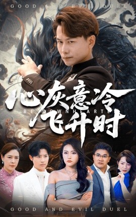 资源《心灰意冷飞升时》的海报