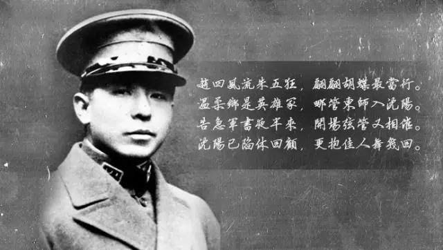 资源《有声小说《张学良全传》》的海报