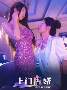 资源《上门虎婿》的海报
