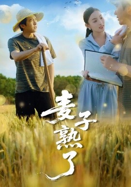 资源《麦子熟了》的海报
