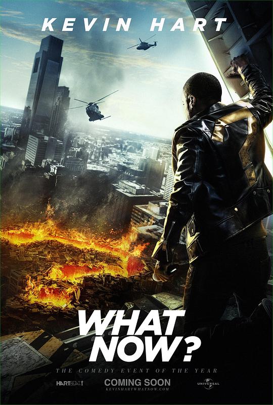 资源《凯文·哈特：整点啥呢？ Kevin Hart: What Now? (2016) 1080p 原盘Remux 【24.84GB】已刮削》的海报