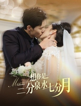 资源《想你是三分泉水七分月》的海报