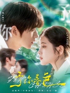 资源《予你春色》的海报
