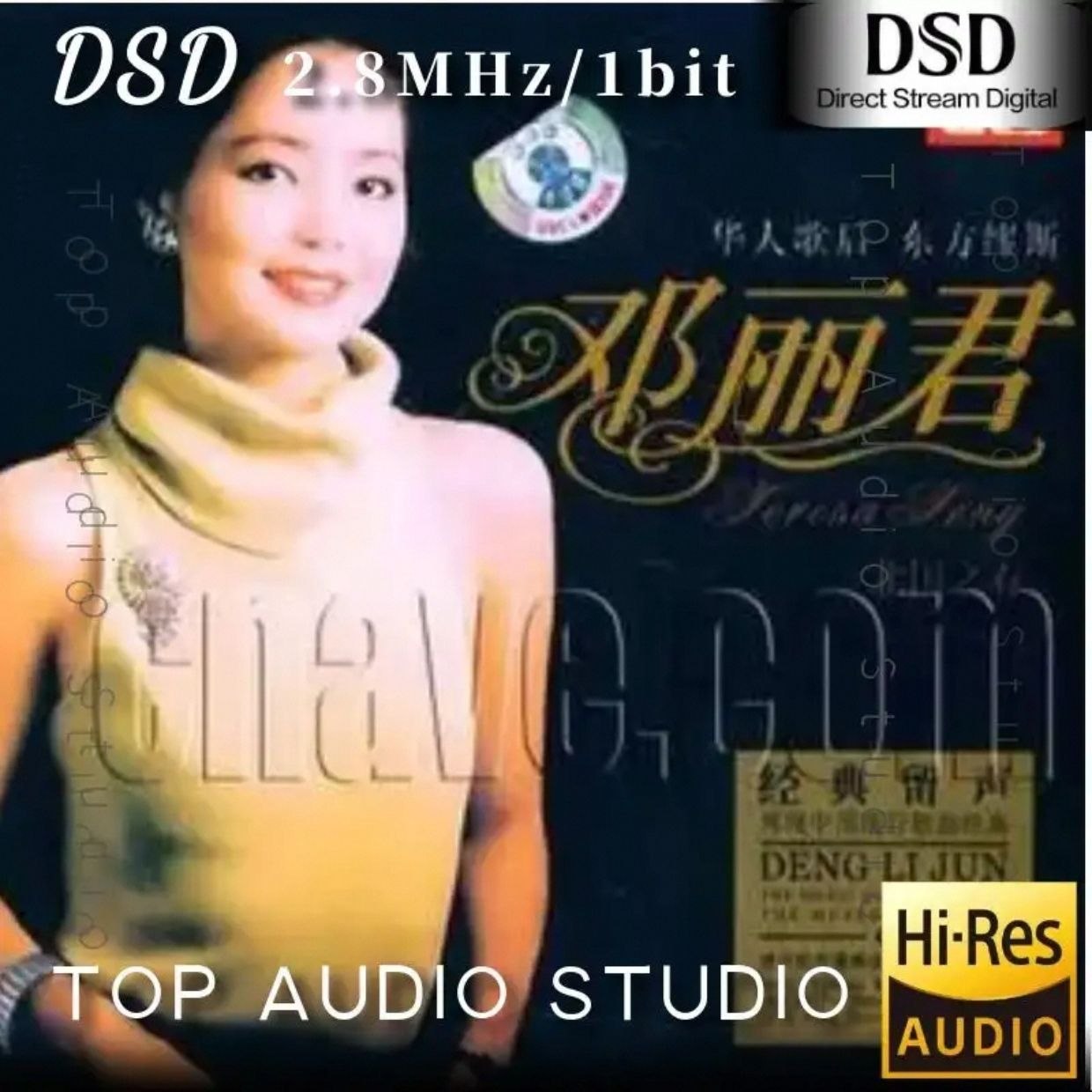 资源《邓丽君 北国之春DSD》的海报