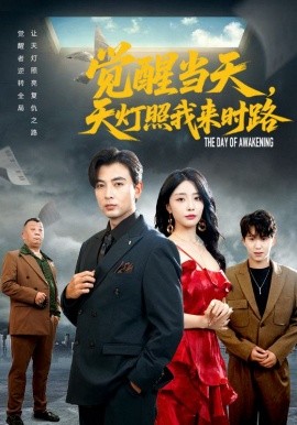 资源《觉醒当天，天灯照我来时路》的海报
