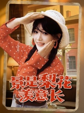 资源《景是梨花羡意长》的海报
