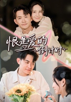 资源《恨是爱的倒计时》的海报