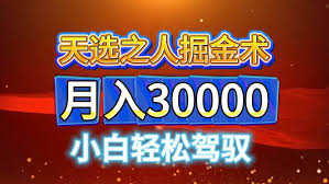 资源《视频号天选之人掘金术，当天起号【揭秘】》的海报